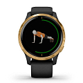 Часы Garmin Venu 010-02173-33 фото 4